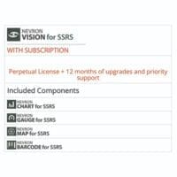 Nevron Vision SSRS
