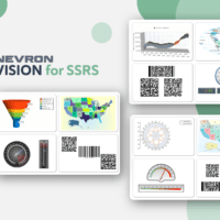 Nevron Vision for SSRS